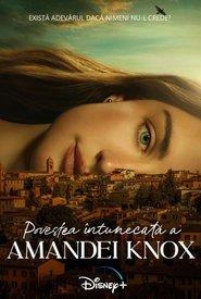 The Twisted Tale of Amanda Knox (2025)